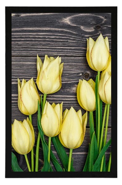 Plakat żółte tulipany na drewnianym tle