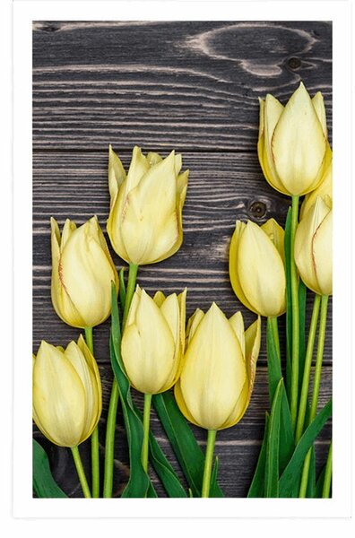Plakat żółte tulipany na drewnianym tle