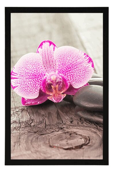 Plakat z passe-partout orchidea i kamienie Zen na drewnianym tle