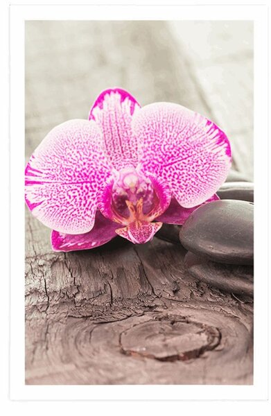 Plakat z passe-partout orchidea i kamienie Zen na drewnianym tle
