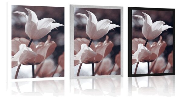Plakat wiosenne tulipany w parku