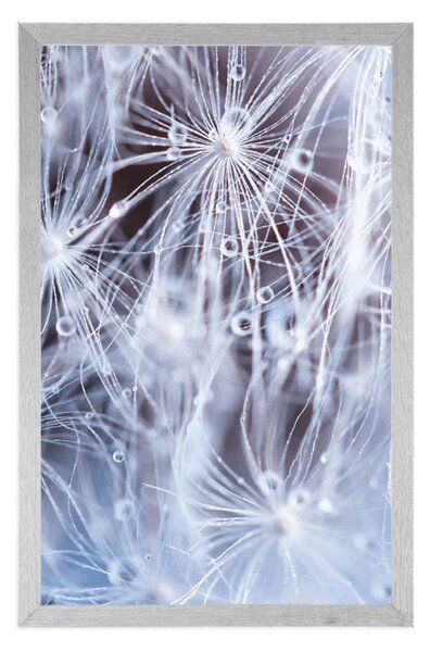 Plakat makro dmuchawiec