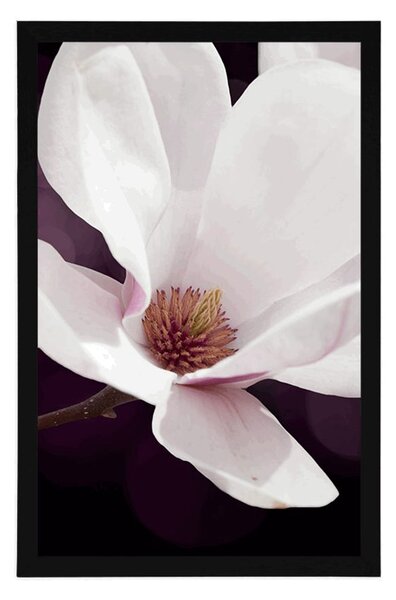 Plakat kwiat magnolii na abstrakcyjnym tle