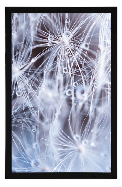 Plakat makro dmuchawiec