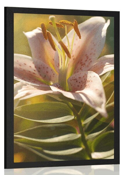 Plakat piękny kwiat z akcentem retro