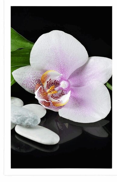 Plakat kamienie zen i orchidea