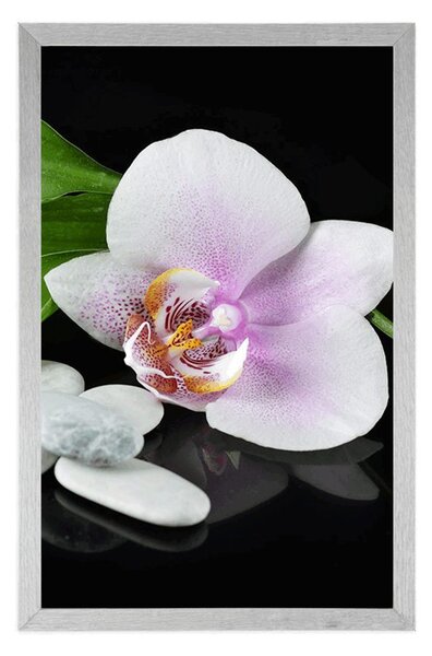 Plakat kamienie zen i orchidea