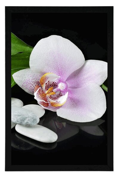 Plakat kamienie zen i orchidea