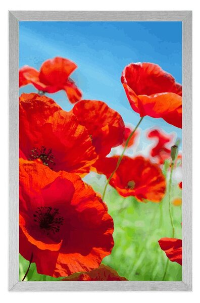 Plakat kwiaty maku na łące