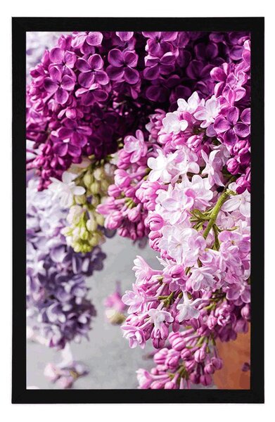 Plakat liliaw różowych odcieniach