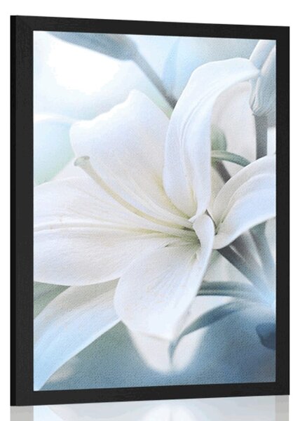 Plakat biały kwiat lilii na abstrakcyjnym tle