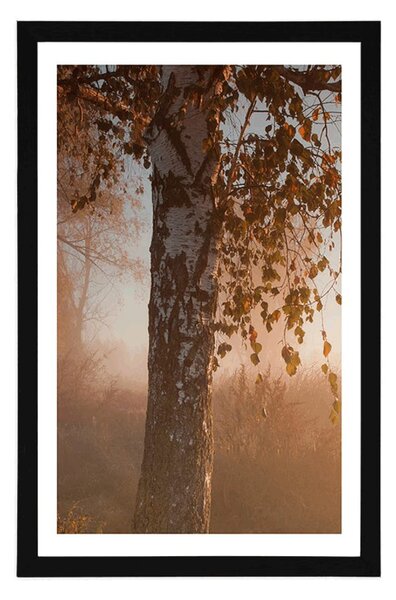 Plakat z passe-partout mglisty jesienny las