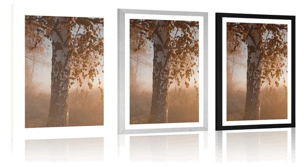 Plakat z passe-partout mglisty jesienny las