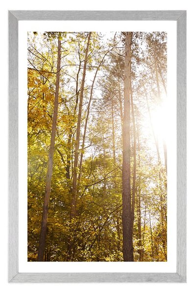 Plakat z passe-partout las w jesiennych kolorach