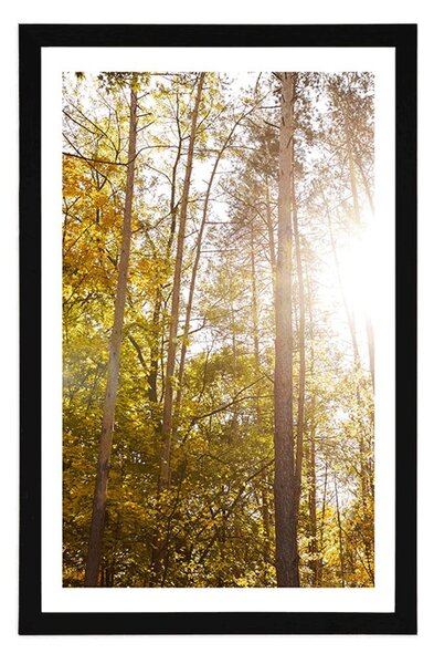 Plakat z passe-partout las w jesiennych kolorach