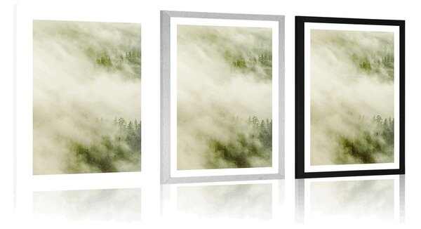 Plakat z passe-partout mglisty las