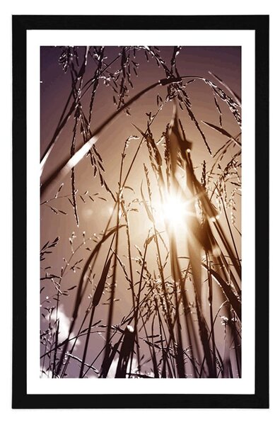 Plakat z passe-partout polna trawa