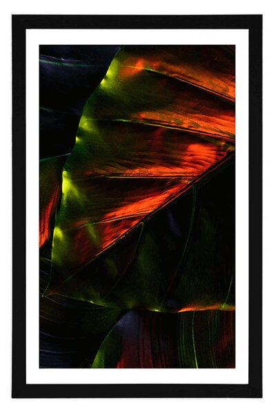 Plakat z passe-partout liście palm tropikalnych