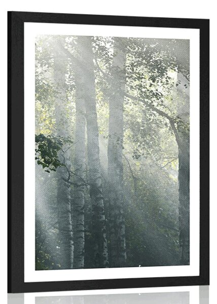 Plakat z passe-partout promienie słońca w mglistym lesie
