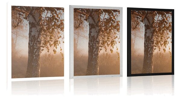 Plakat mglisty jesienny las