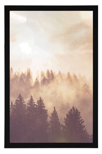 Plakat mgła nad lasem