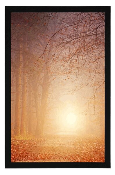 Plakat las w bajkowych kolorach