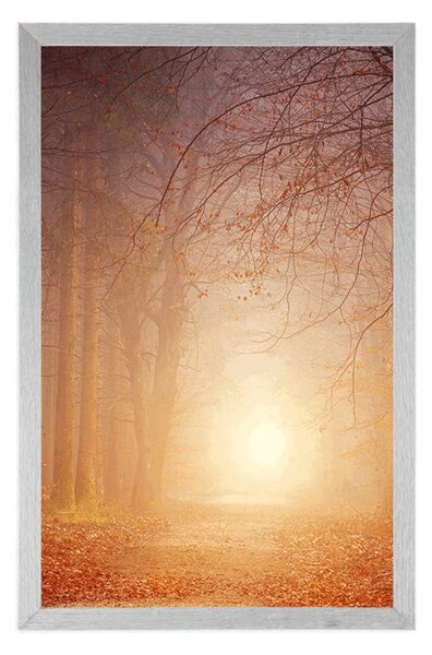 Plakat las w bajkowych kolorach