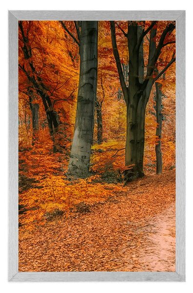 Plakat las w sezonie jesiennym