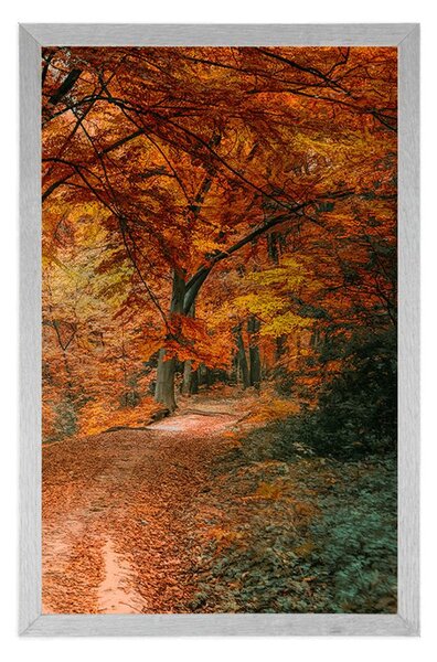 Plakat piękny las w sezonie jesiennym