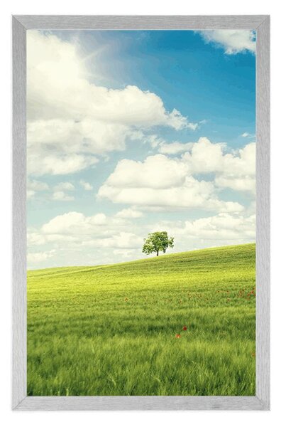 Plakat piękny słoneczny dzień na łące