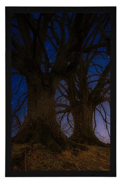 Plakat drzewa w nocnym krajobrazie