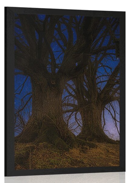 Plakat drzewa w nocnym krajobrazie