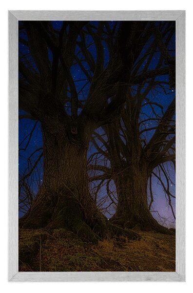 Plakat drzewa w nocnym krajobrazie