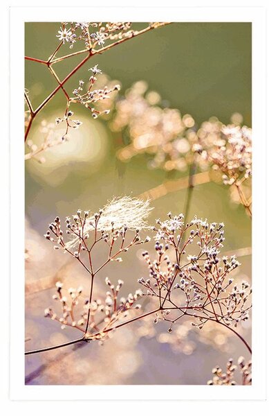 Plakat martwa natura z kwiatów
