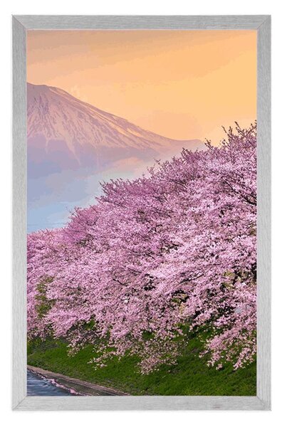 Plakat piękna Japonia