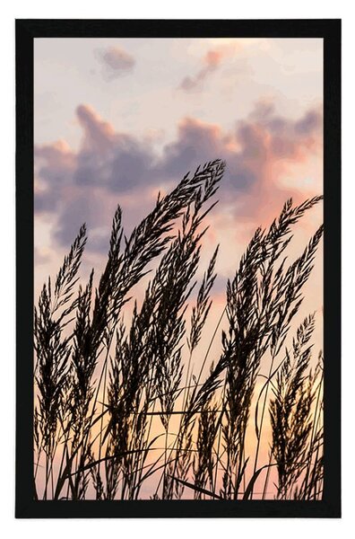 Plakat trawa o zachodzie słońca