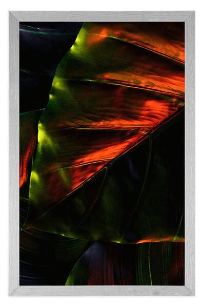Plakat liście palm tropikalnych