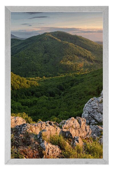 Plakat przyroda skąpana w słońcu