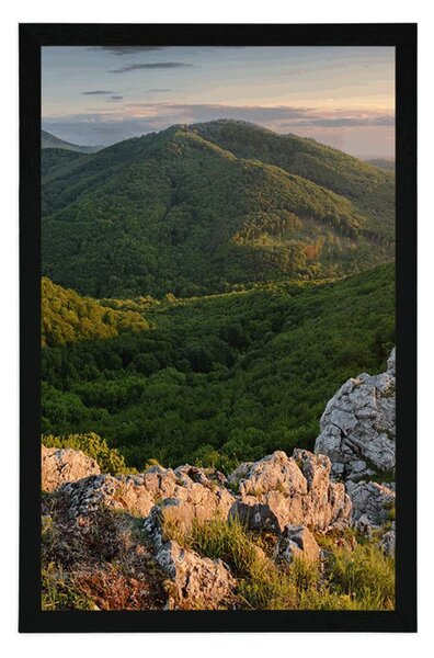 Plakat przyroda skąpana w słońcu