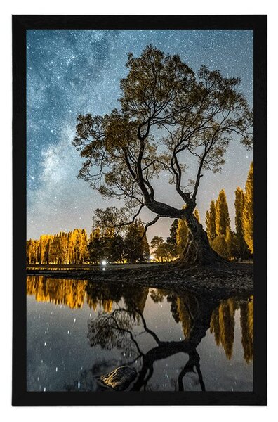 Plakat drzewo pod rozgwieżdżonym niebem