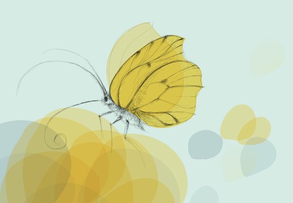Fototapeta - Motyl (196x136 cm)