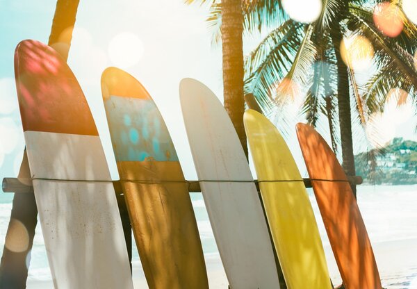 Fototapeta - Deski Surfingowe (196x136 cm)