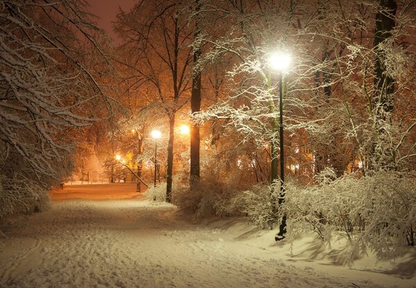 Fototapeta - Śnieżny park (196x136 cm)