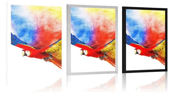 Plakat lot papugi