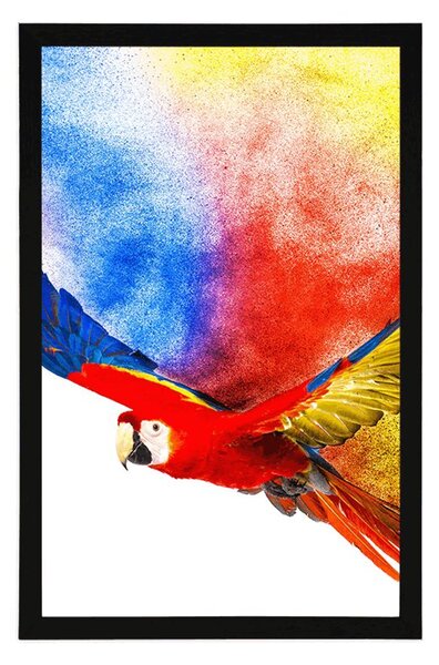 Plakat lot papugi