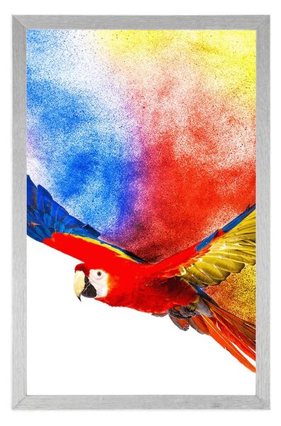 Plakat lot papugi