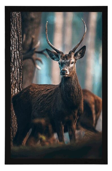 Plakat jeleń w lesie