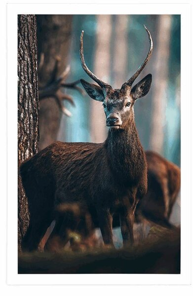 Plakat jeleń w lesie