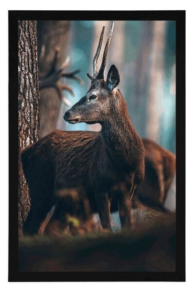 Plakat jeleń w sosnowym lesie
