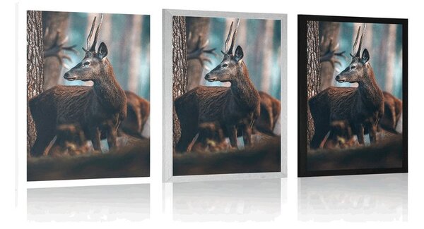 Plakat jeleń w sosnowym lesie